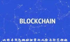 比特币钱包地址泄露的风险与防范措施