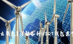 USDT使用什么钱包？详解各种USDT钱包类型及选择技